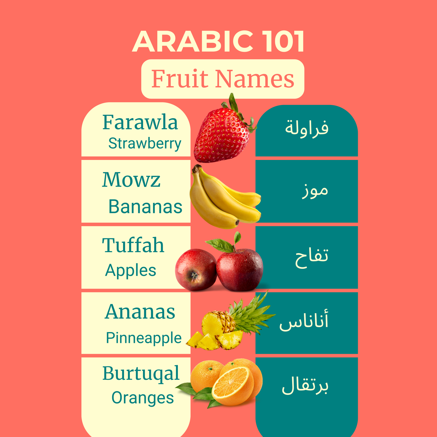 Arabic 101 Cards - 6 Digital Cards